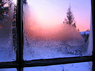 sunrise through icy windowpane 