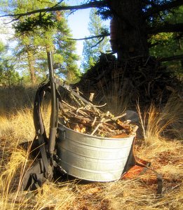 pack basket for hauling little sticks